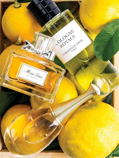 colonia cristian dior|dior san carlo bergamot.